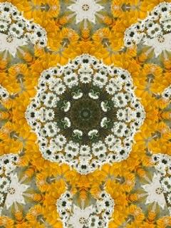Flower Shop Mandala with Daisies (Eric H. F. Law)