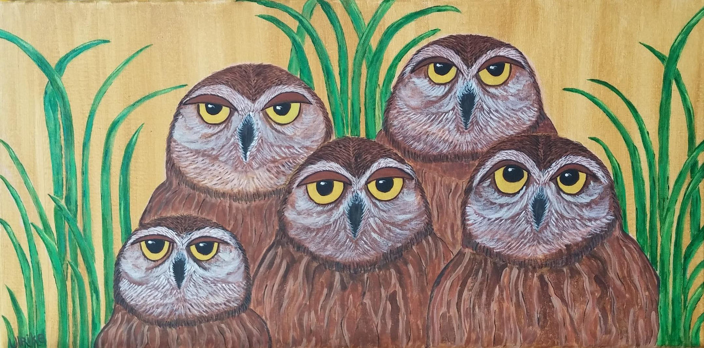 Owl Family