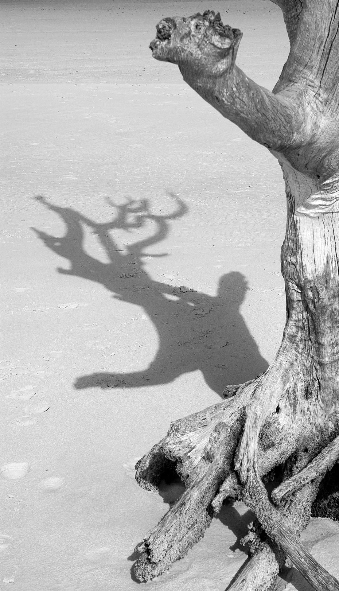 Weathered Strength (Carol Simons Huddleston)