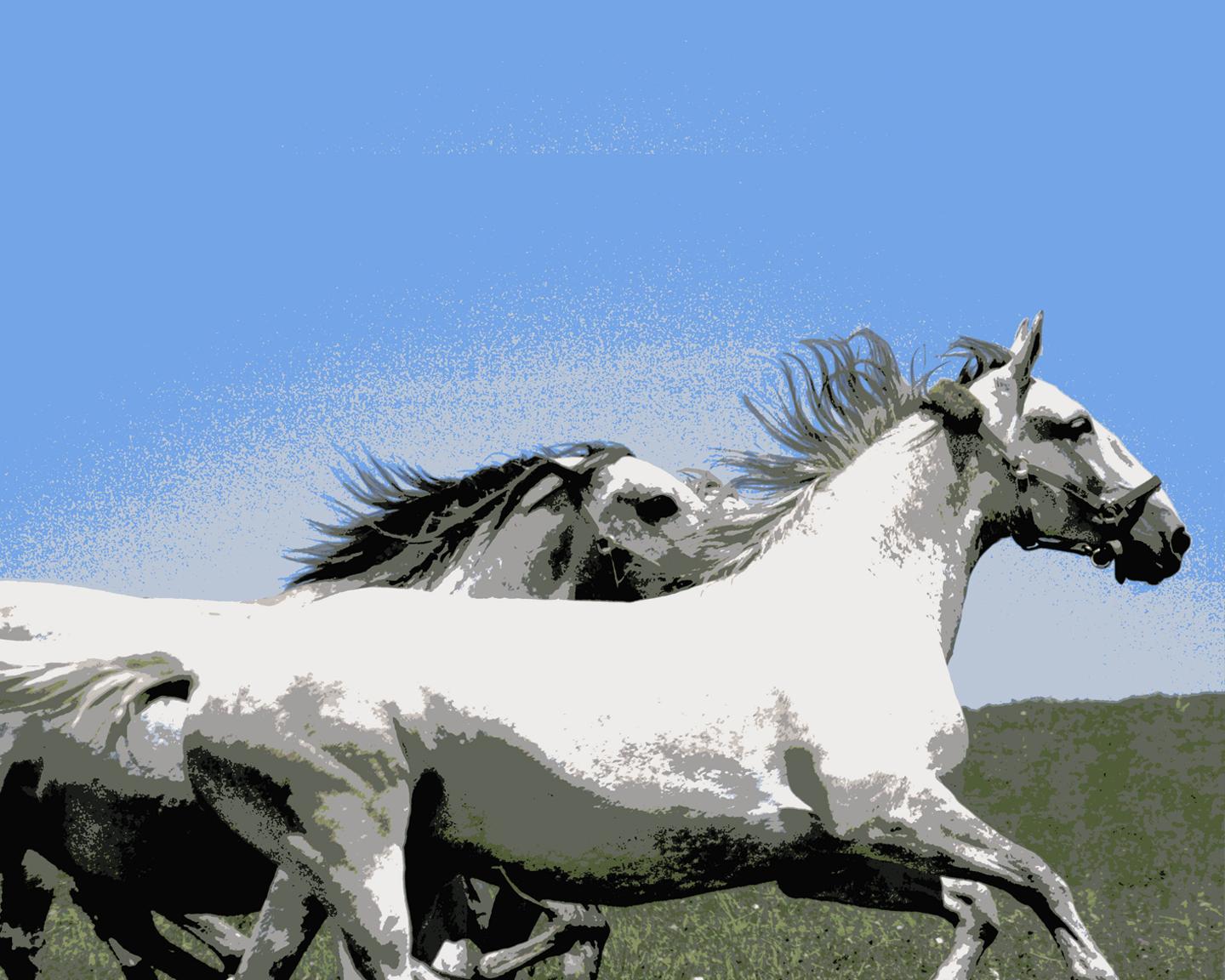 Wild and Free (Jill Dorfman)