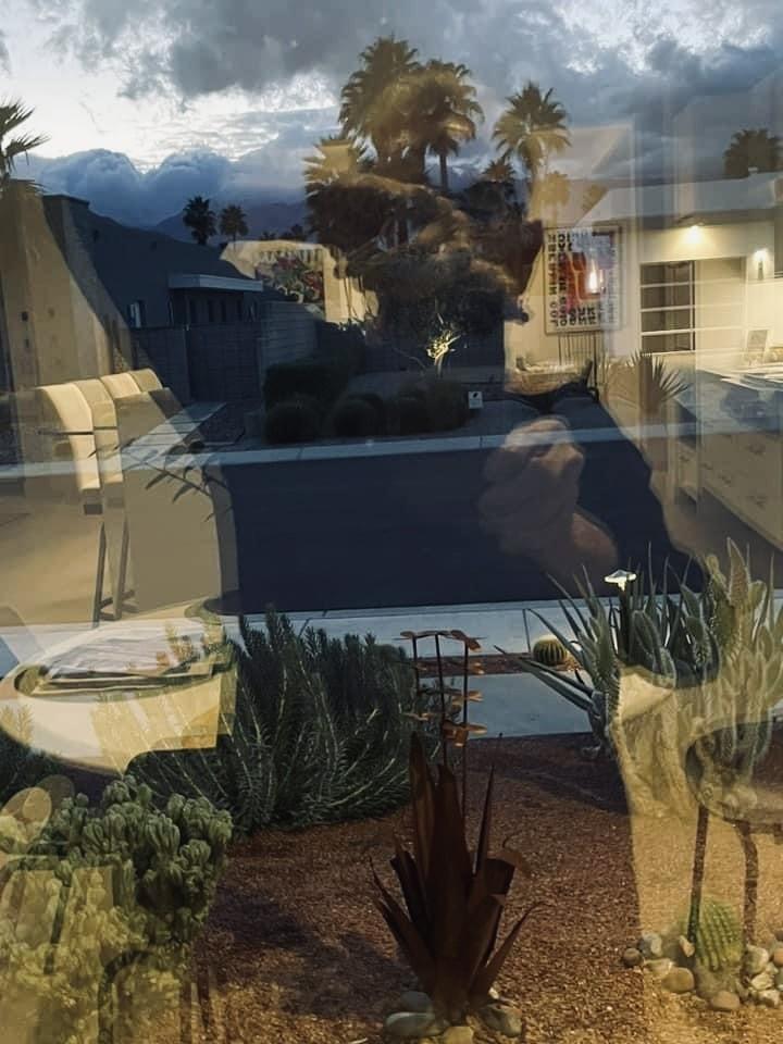 Palms on My Mind (Judy Luther)