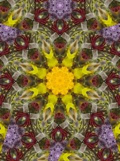 Flower Shop Mandala - American Grown (Eric H. F. Law)