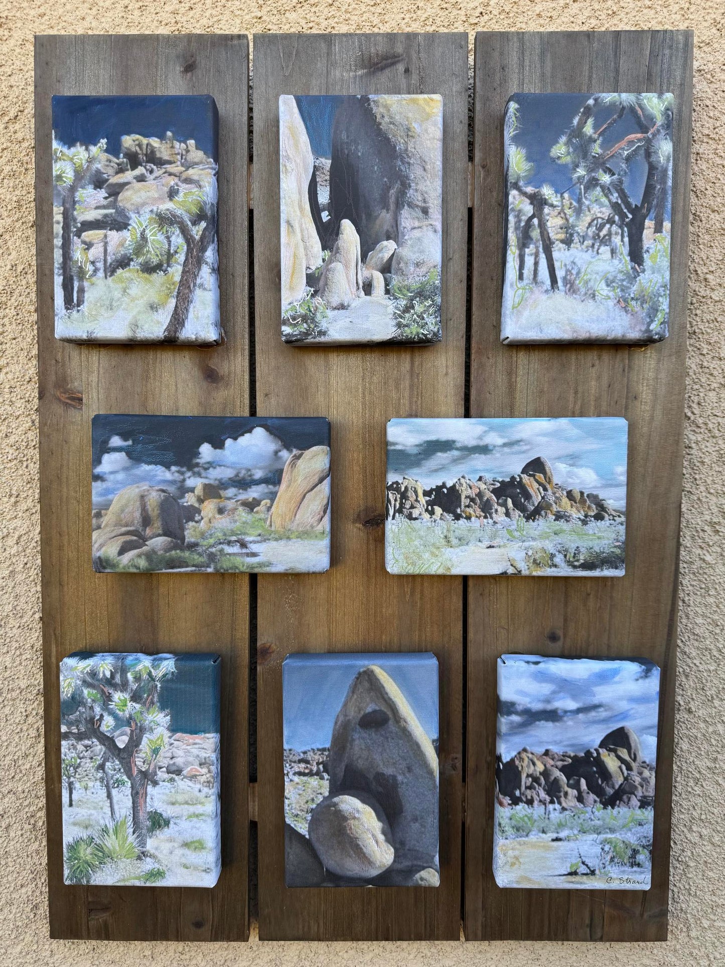 Nature's Sculptures (Carolyn Strand)
