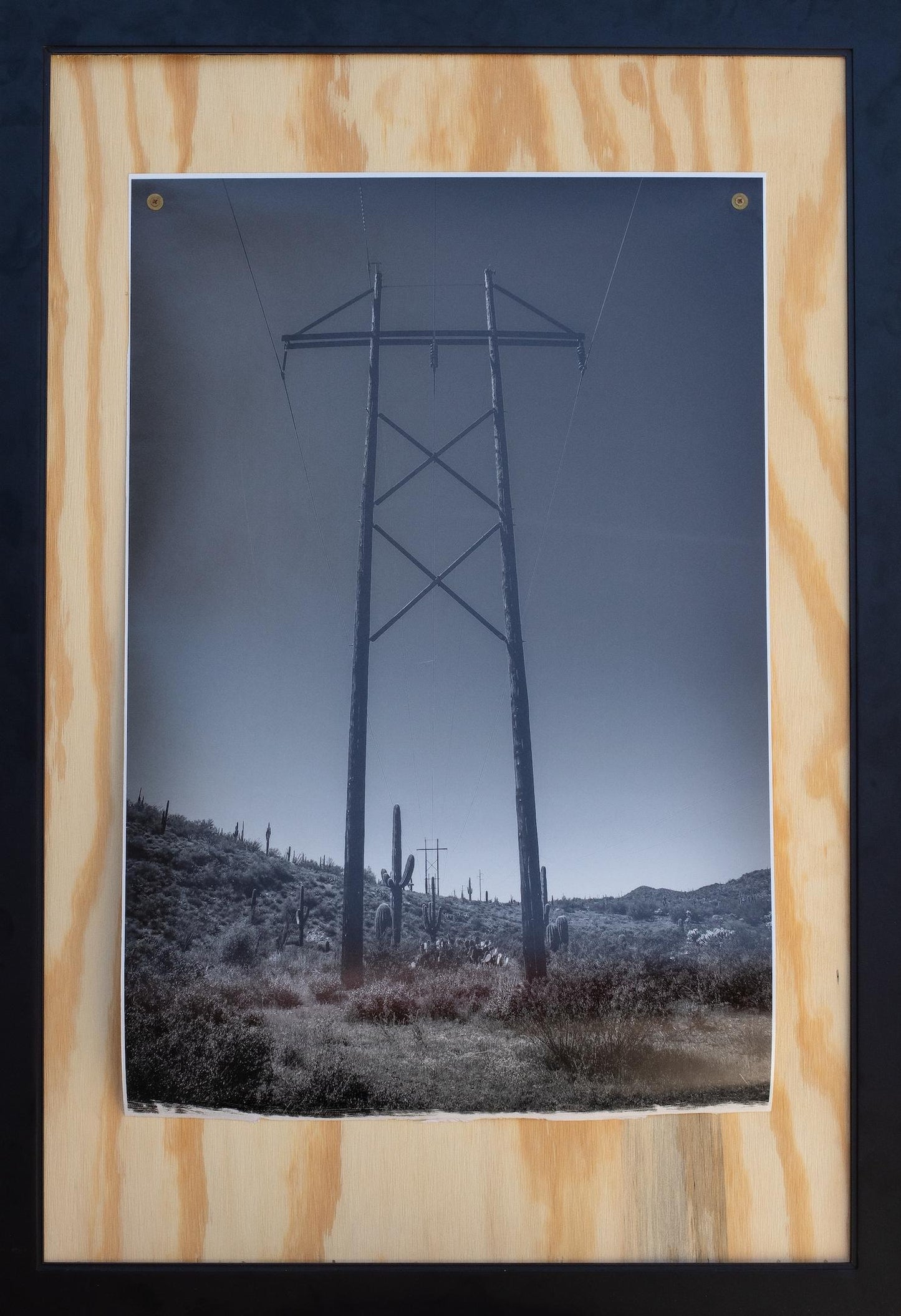 Power Cacti (Matt Cauthron)