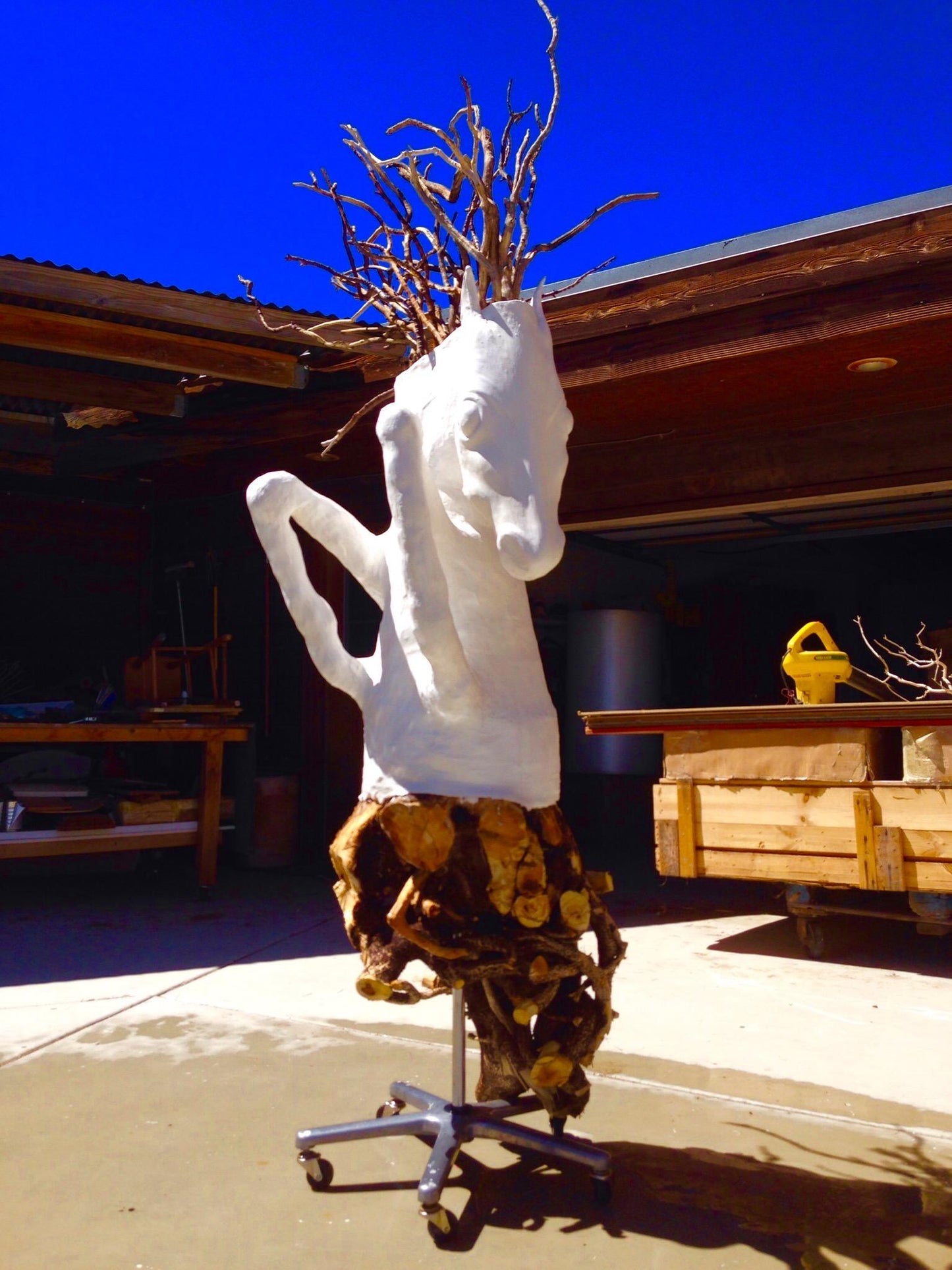 Pegasus Roots (Bernard Hoyes)