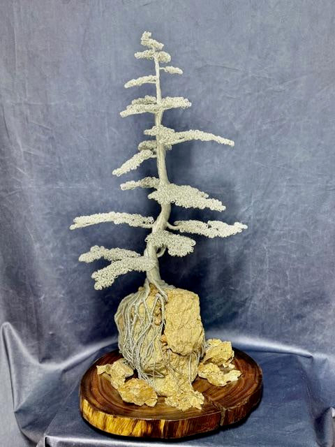 Wire Bonsai 9 (R. Crebo)