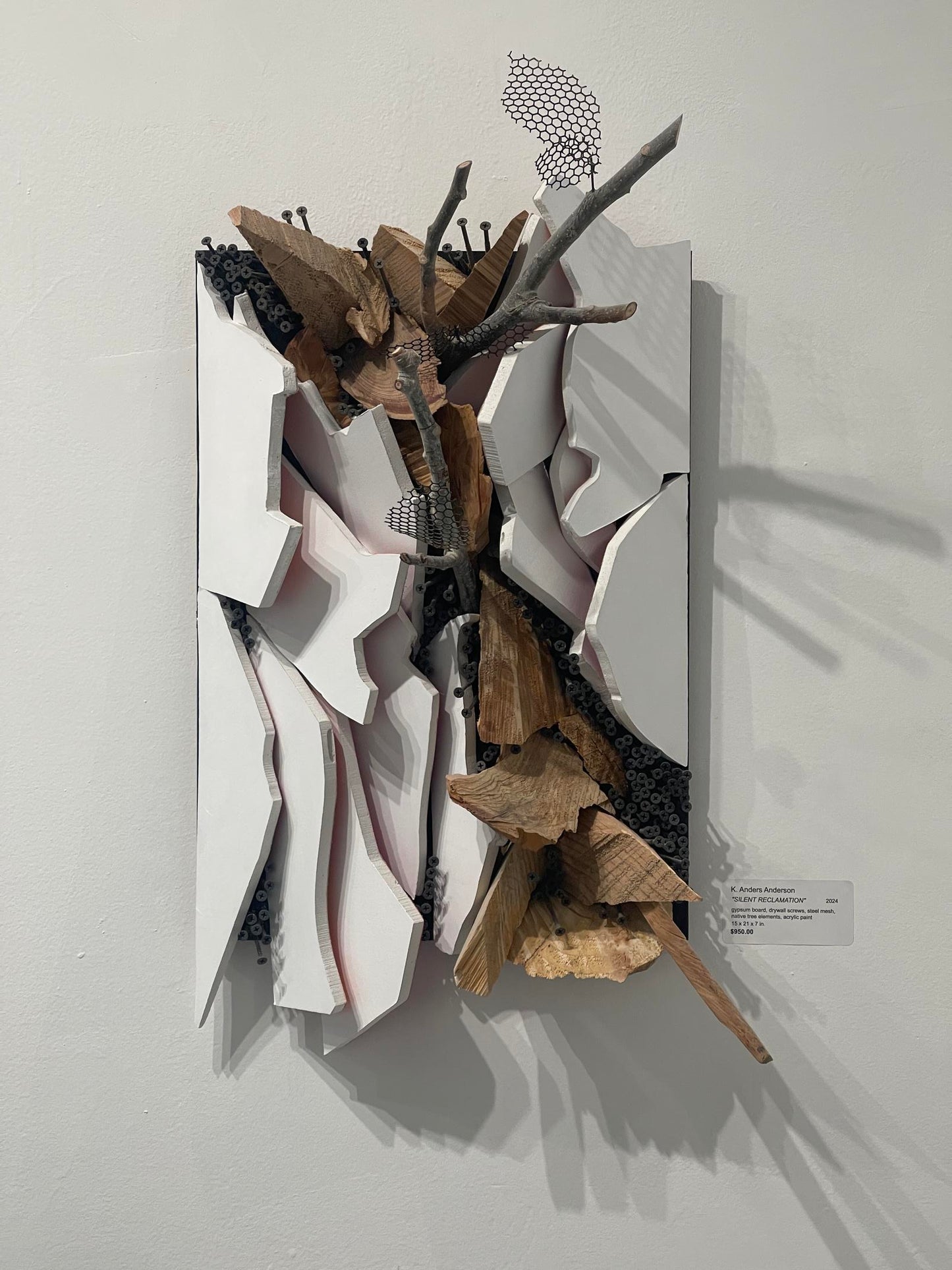 Silent Reclamation (Kersteen Anderson)