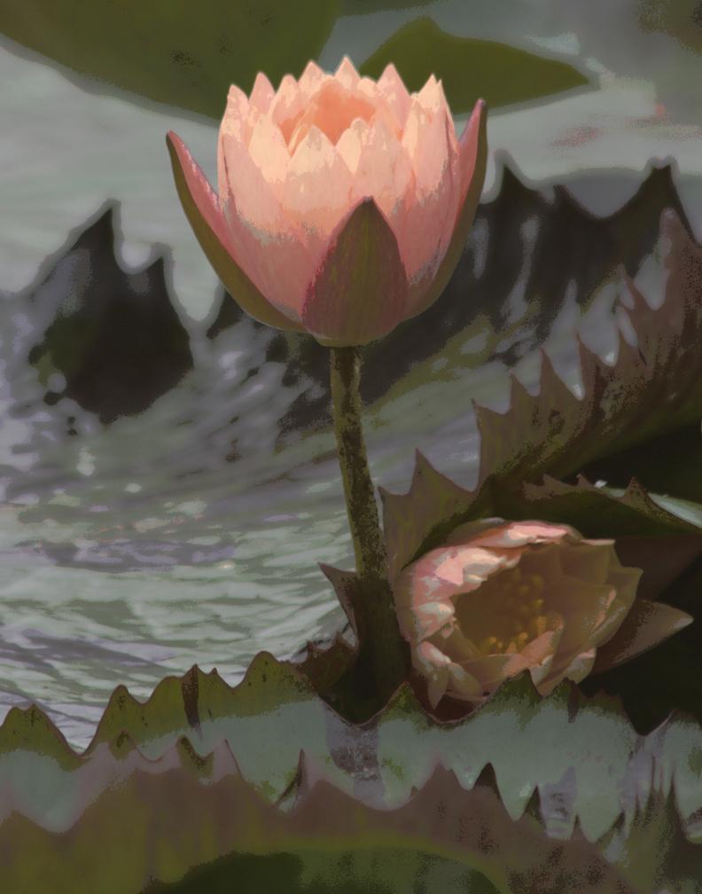Placid waters (Jill Dorfman)