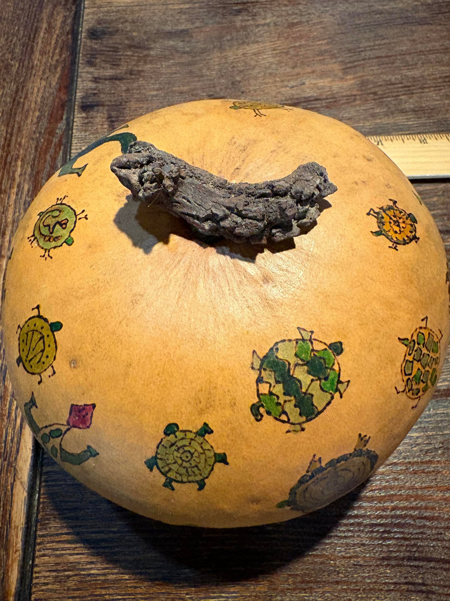 Petroglyph Tortoise Hatchlings (Debra Jenkins) – 2