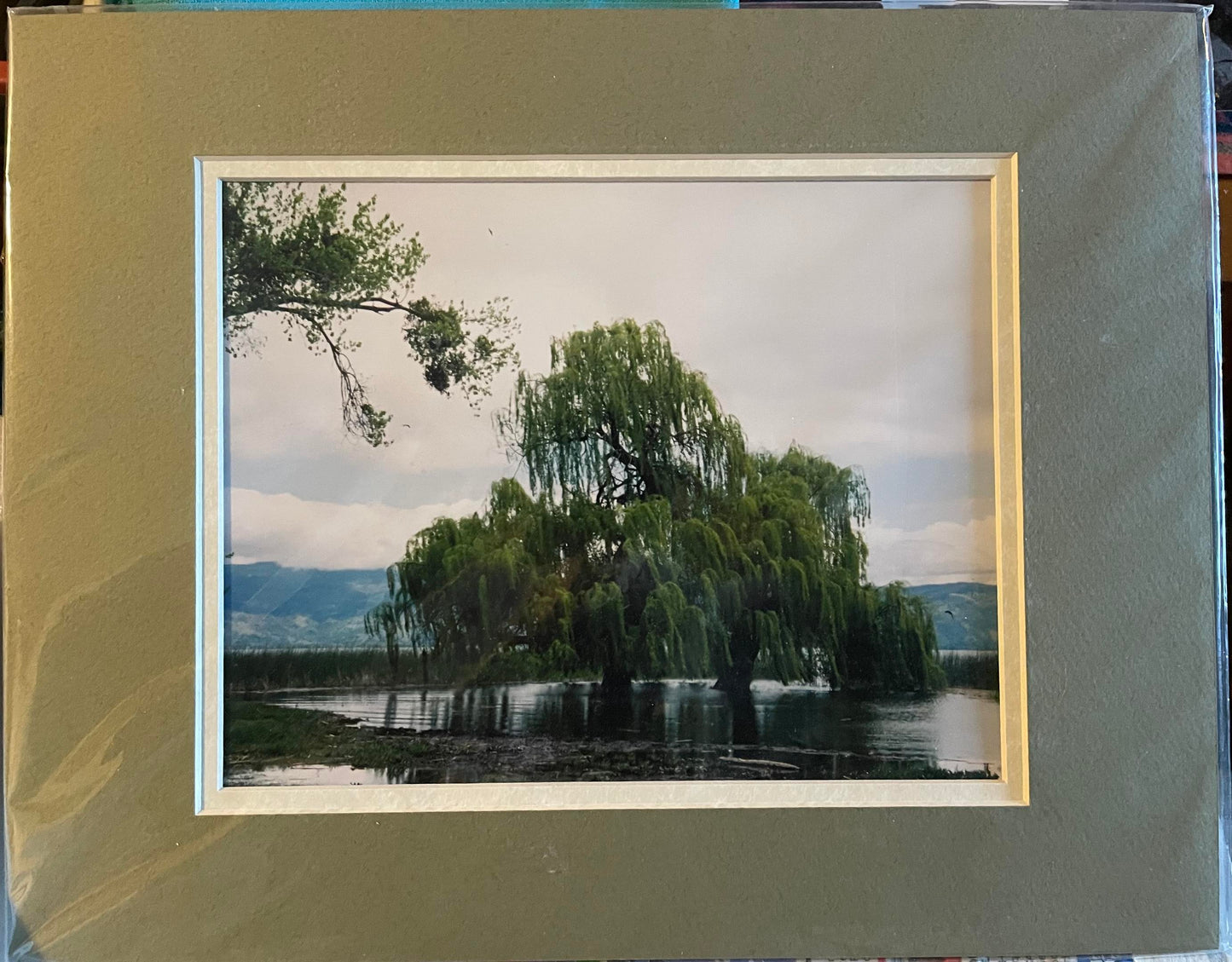 Matted prints (Dina Budginas) – 2