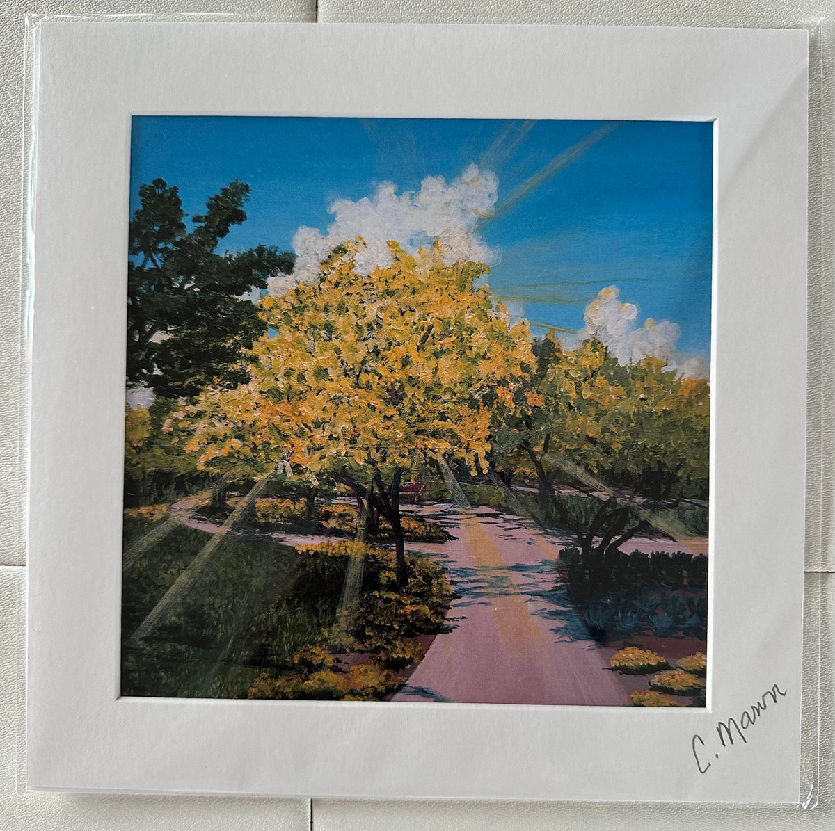 ‘Sunbeam Gardens’ (Craig Mann) – 2