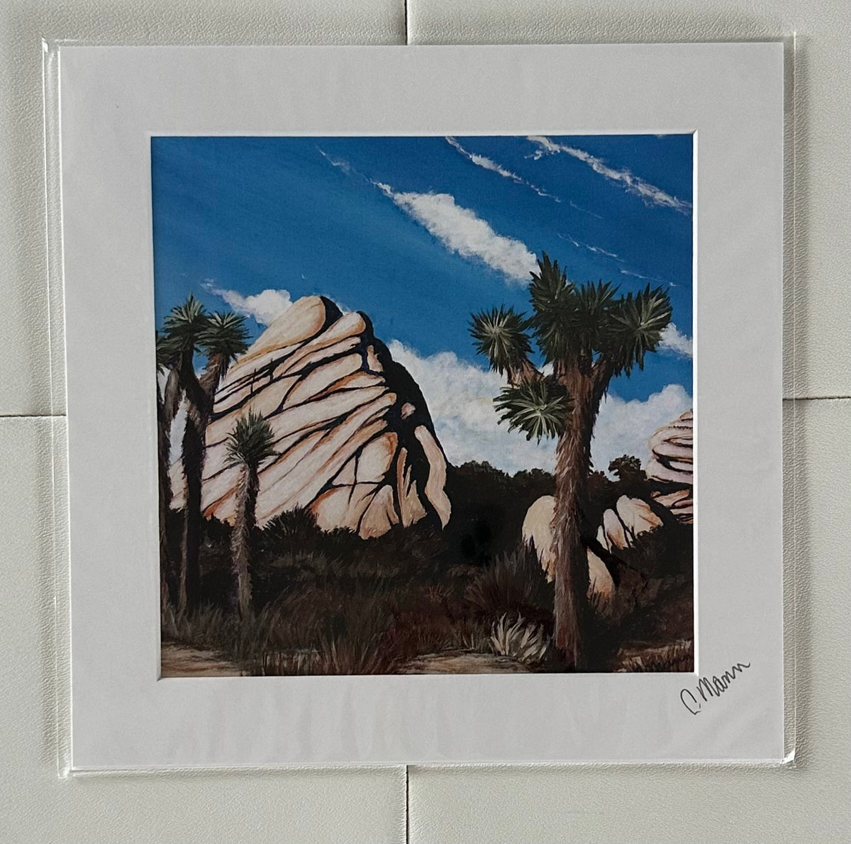 ‘Joshua Tree Summer’ (Craig Mann) – 2