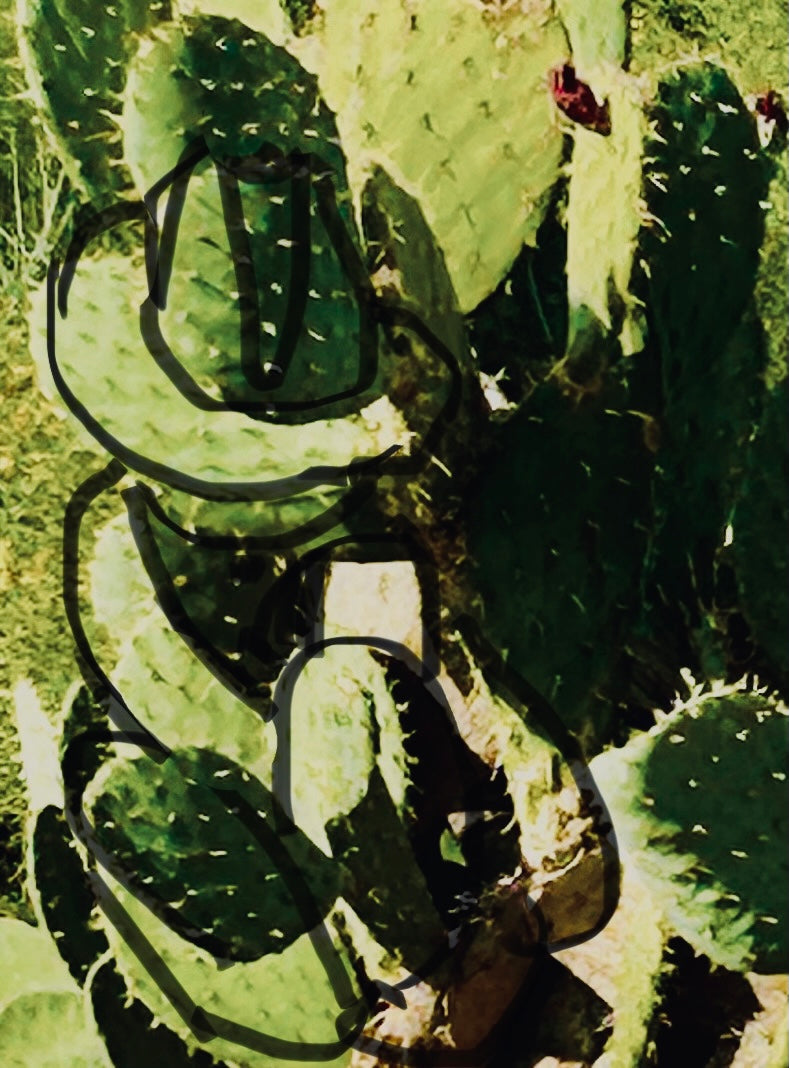 La Siesta de Dia (Bette Ann Libby) – 2