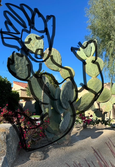 Cactus Encantada (Bette Ann Libby) – 2