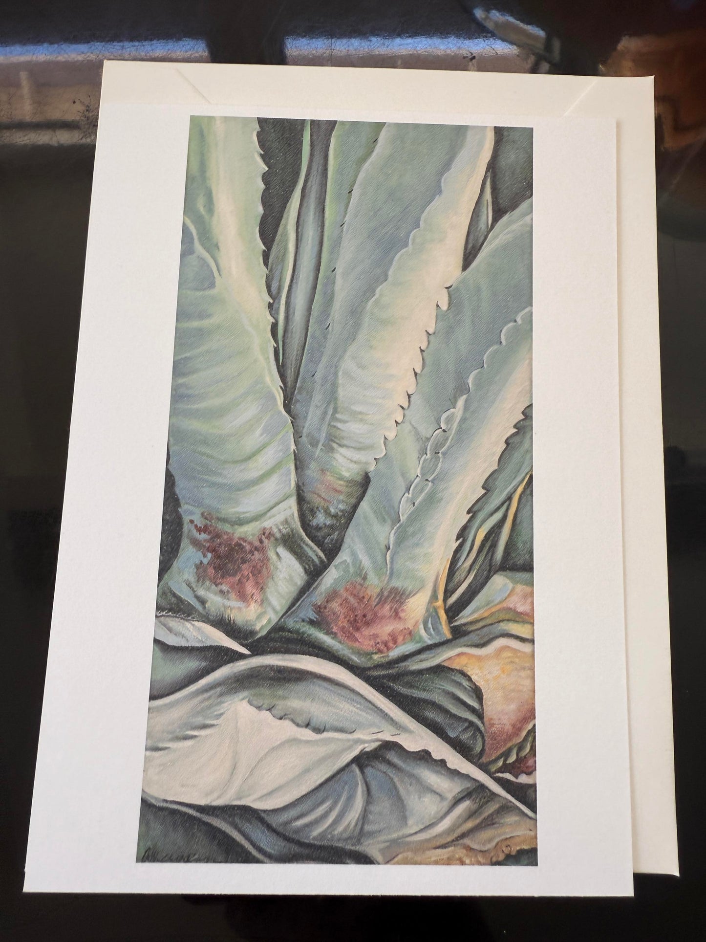 Aloe 5x7 postcard/envelope giclee (Anna Graham) – 2