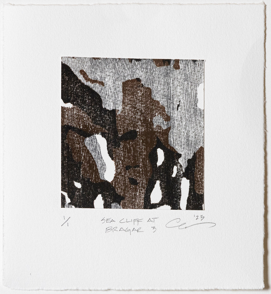 Desert Shadows A1 (Carol Mannas) – 2