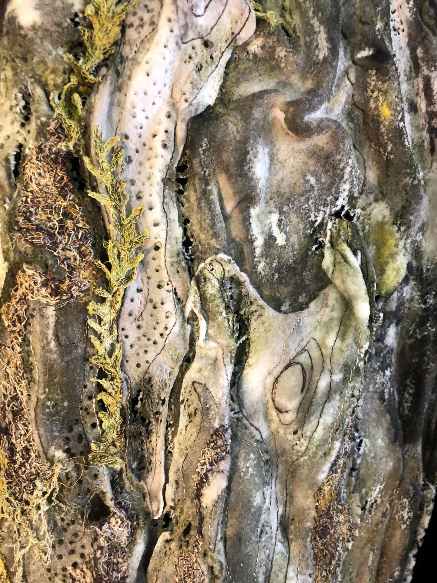 Tree Bark Fragment, var. 1