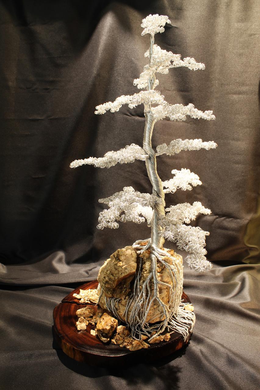 Wire Bonsai 9 (R. Crebo)