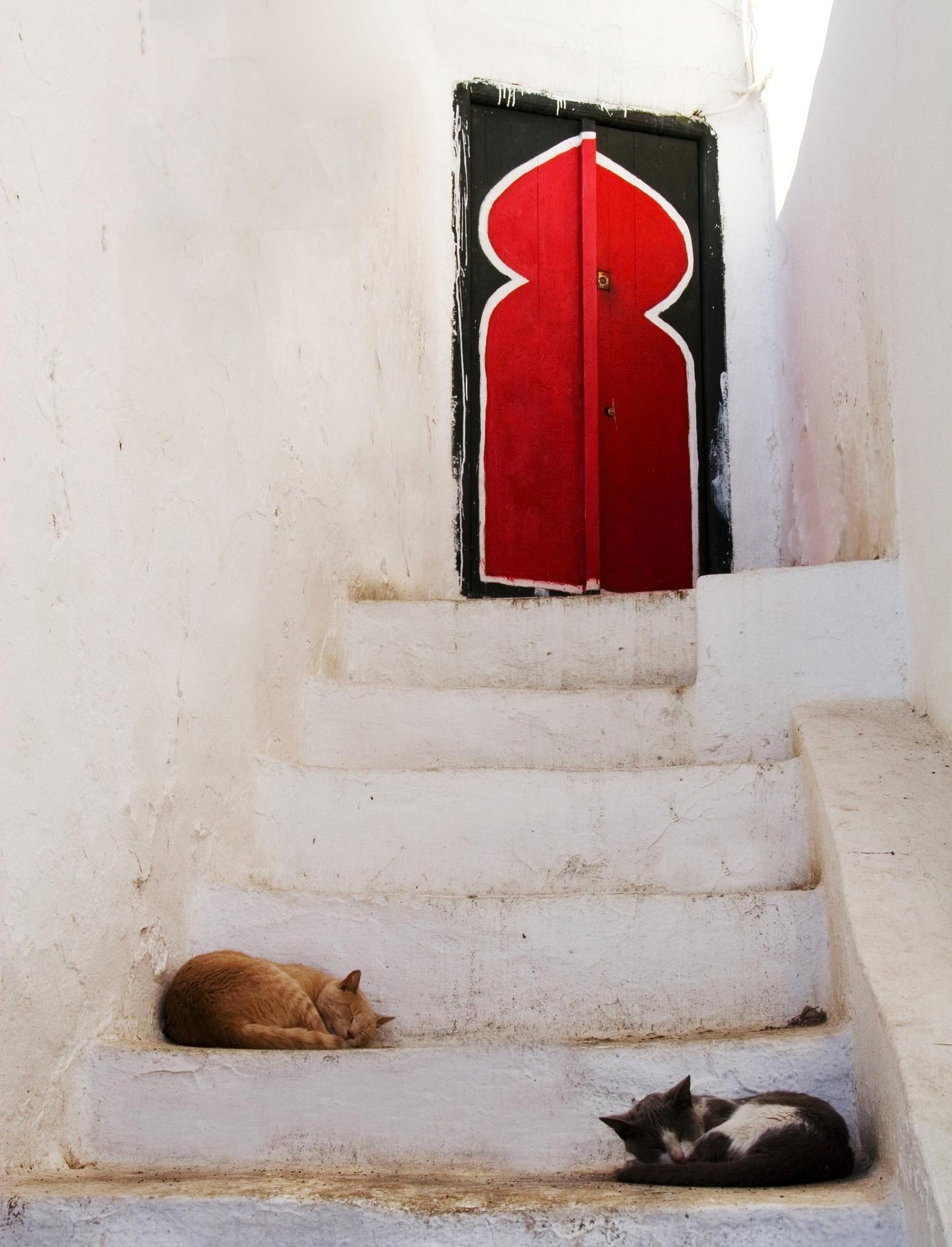Red Door, Tunisia (David Cieslikowski)