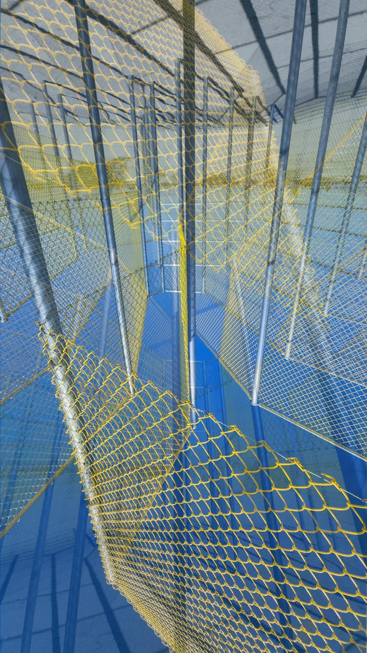 Fenced In (Steve Wardlow)