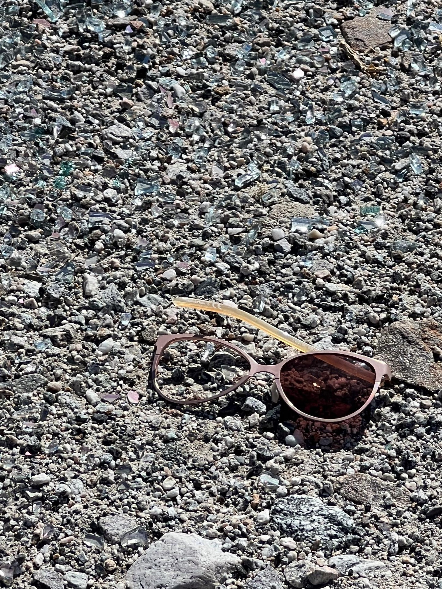 Road Kill (Jeff Tanner)