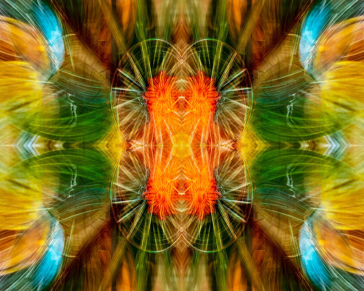 Whirls of Color