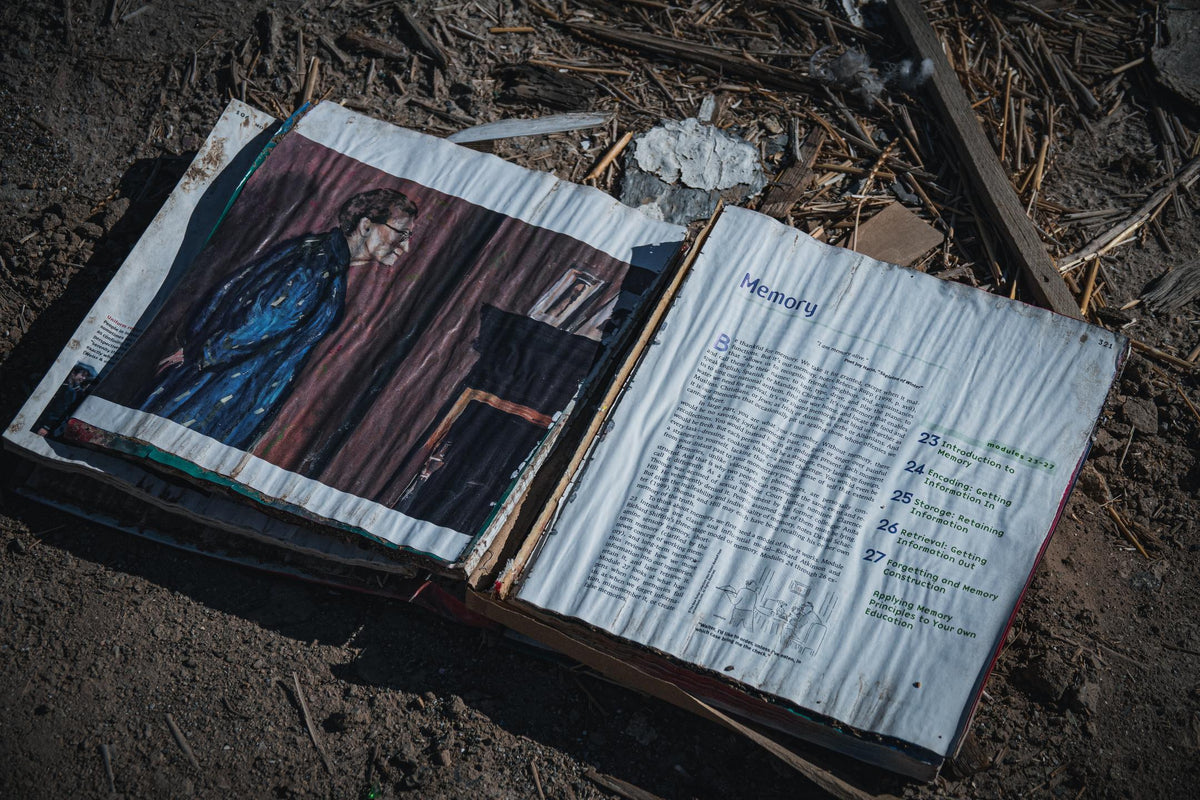 The Tears Between the Pages (Laura Hicks)