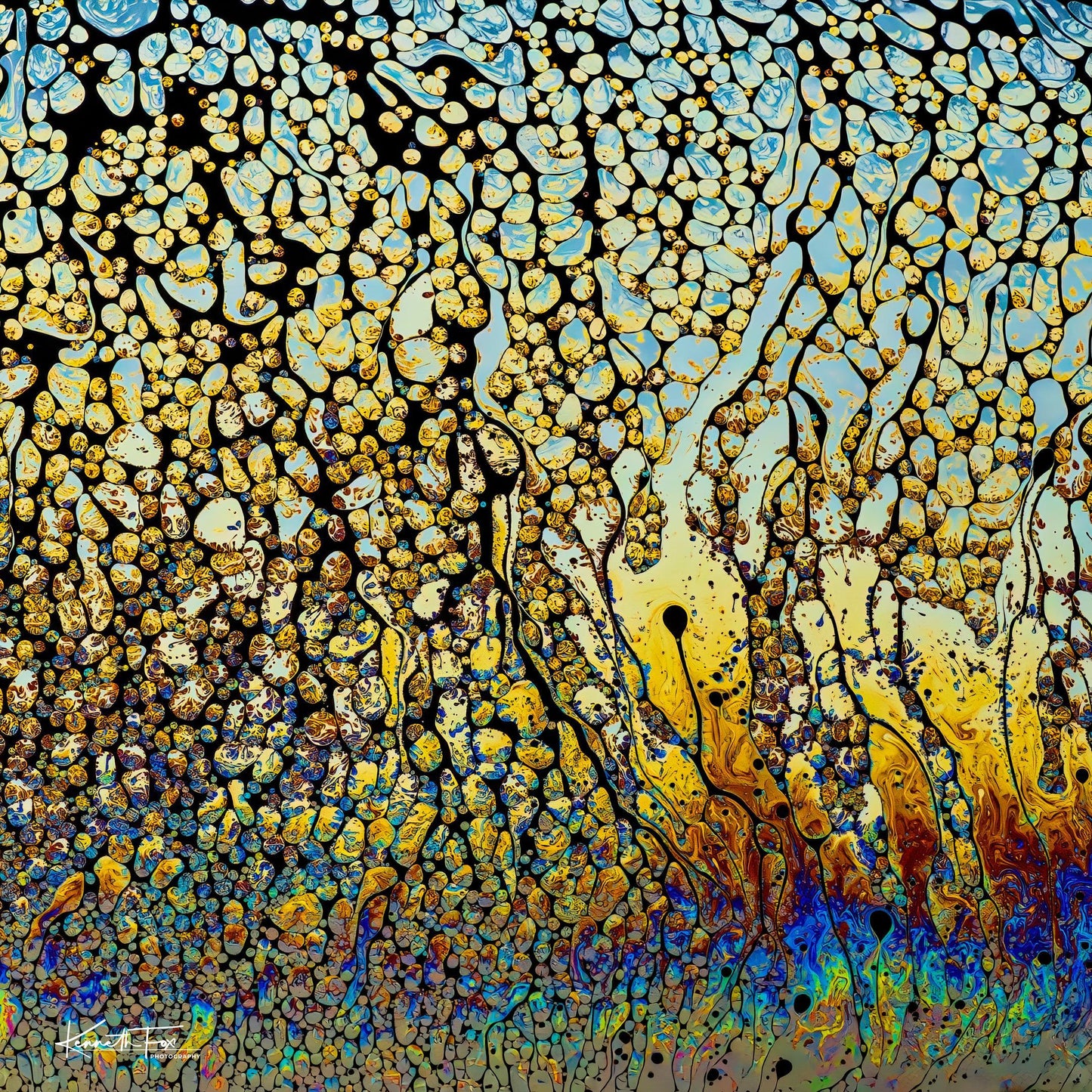 Patterns of Creation No 1 The Masterpiece Begins (Kenneth Fox)