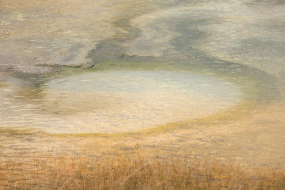 Mind Spring (Rob Strain)