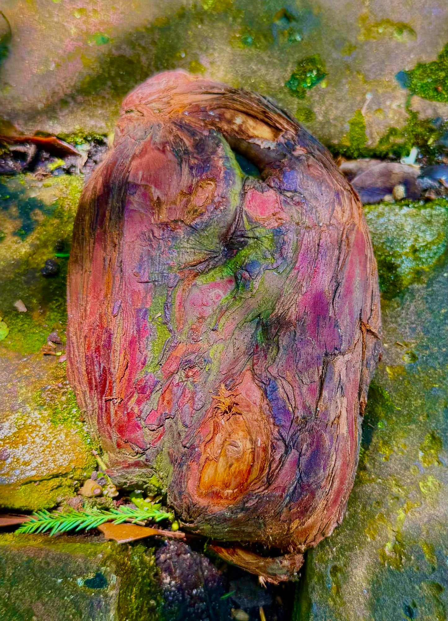 Rock New Orleans (Eve Adler)