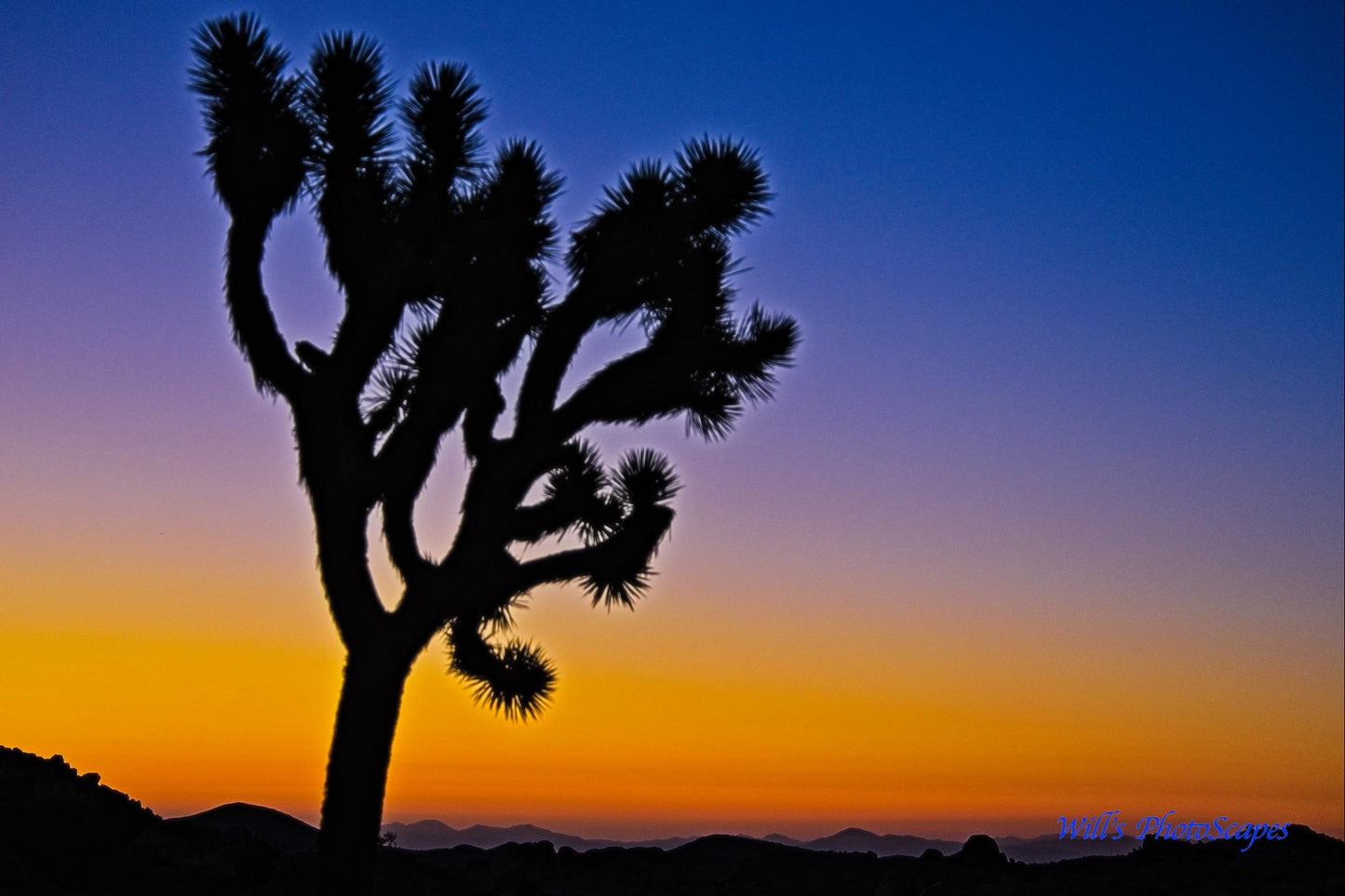 Dawn on the Horizon