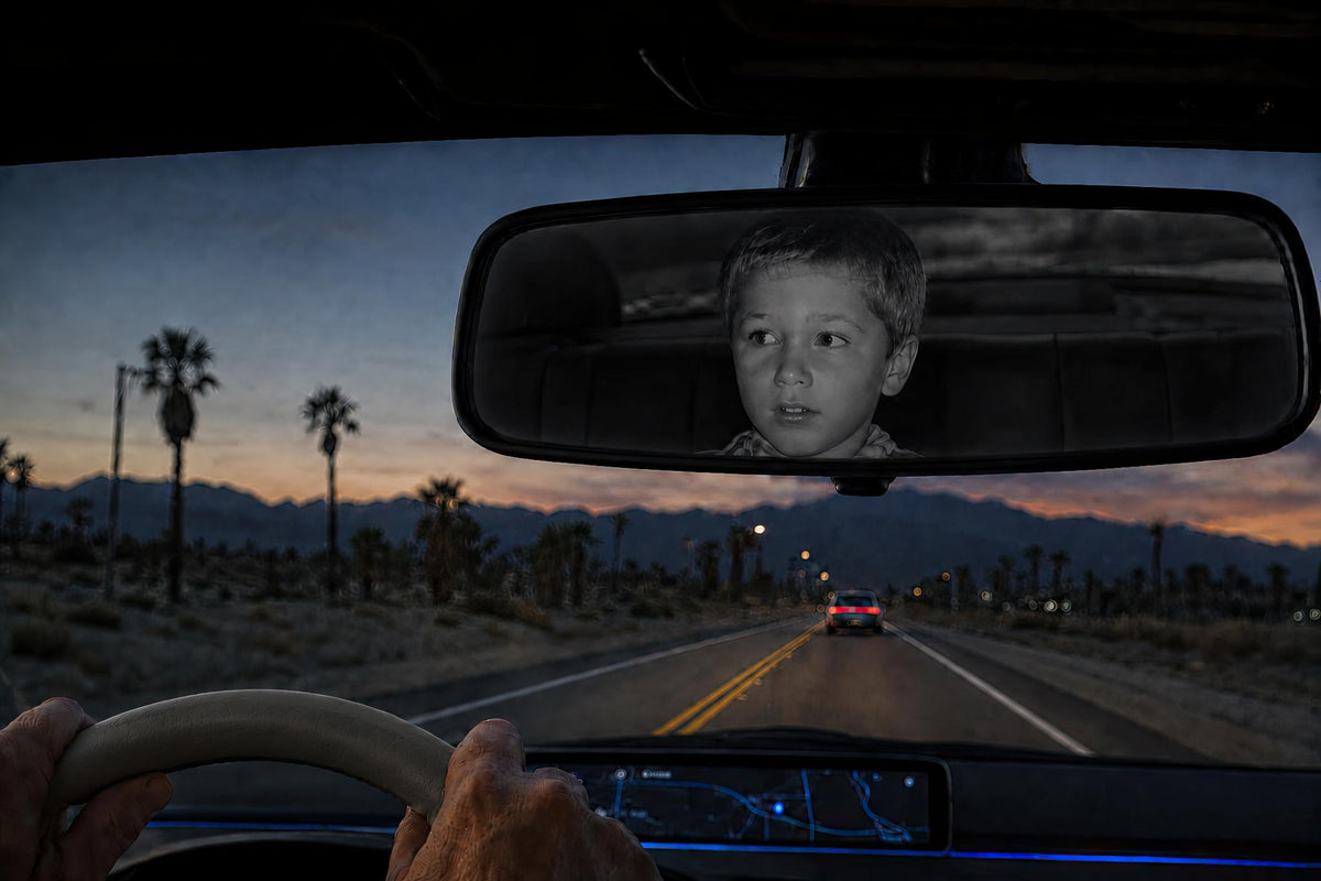 The Boy Looking Back at Me (David Burr)