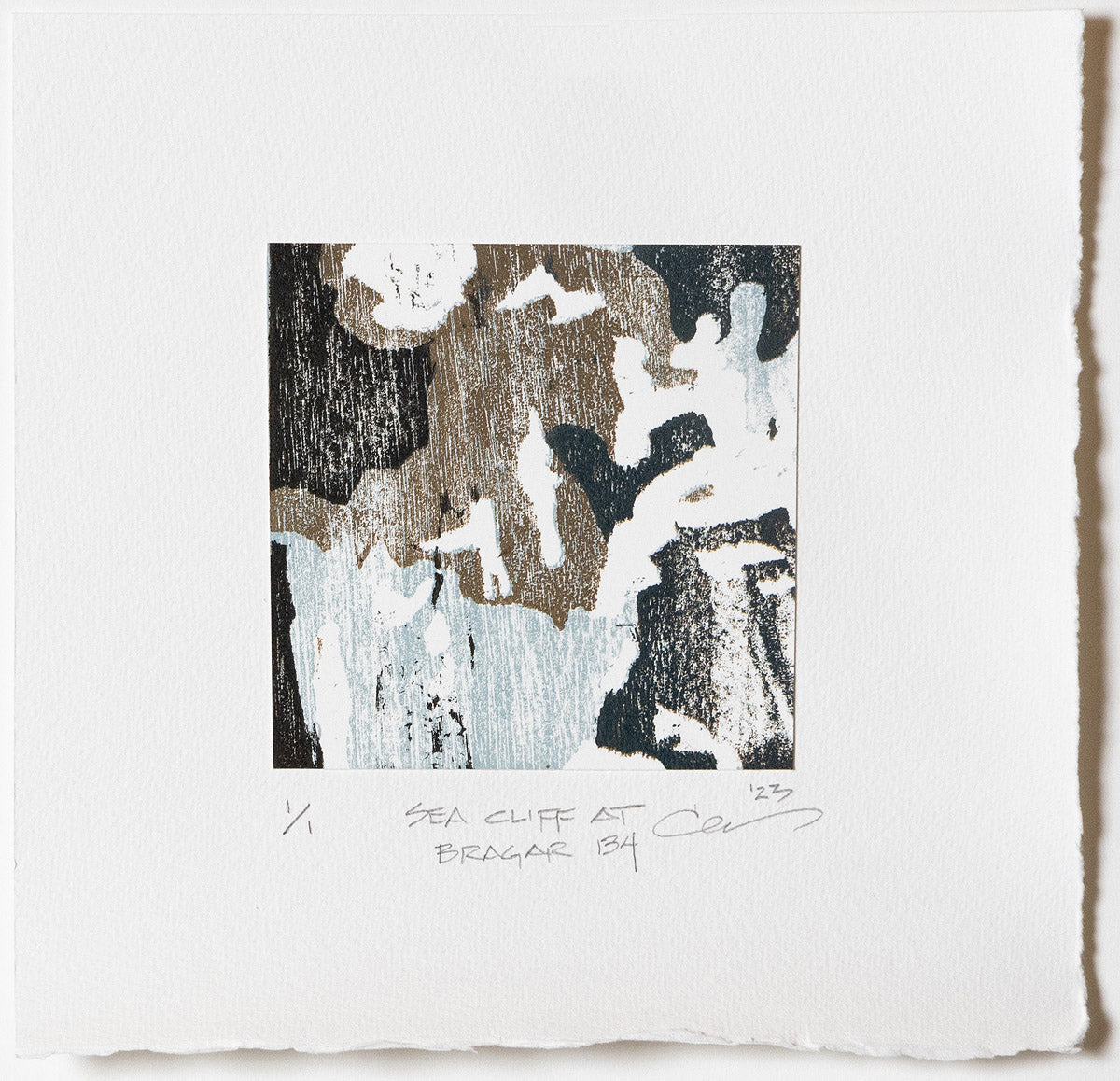 Sea Cliff at Bragar (Carol Mannas) – 2