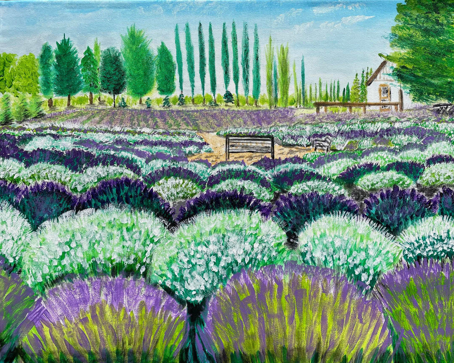 Lavender Fields