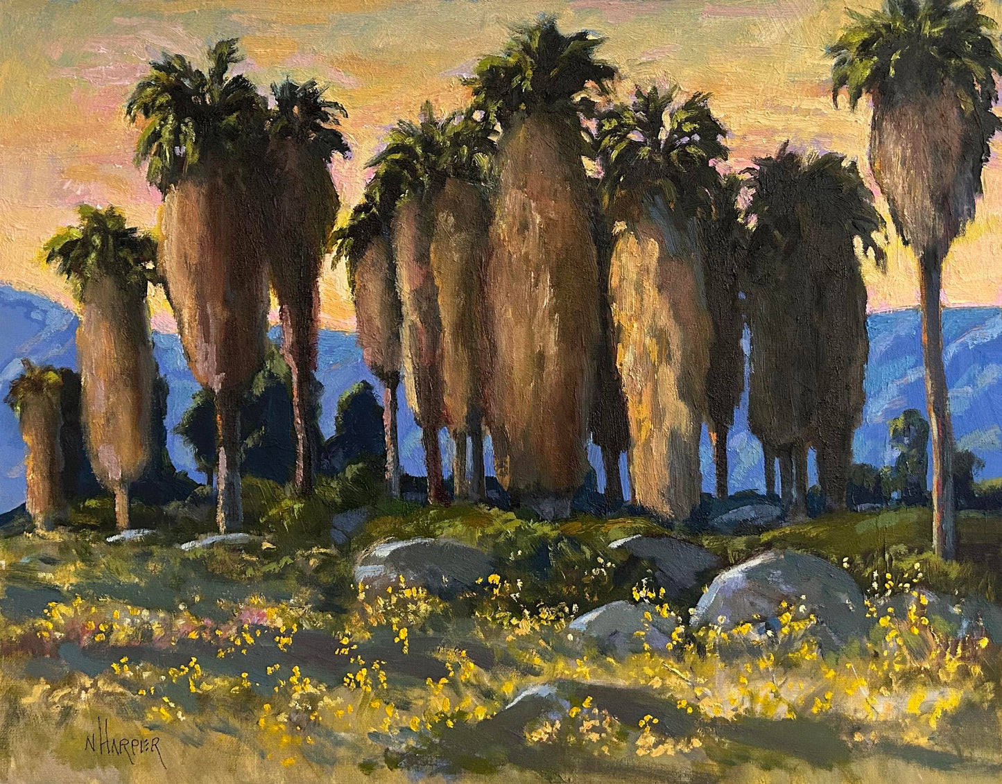 Dawn