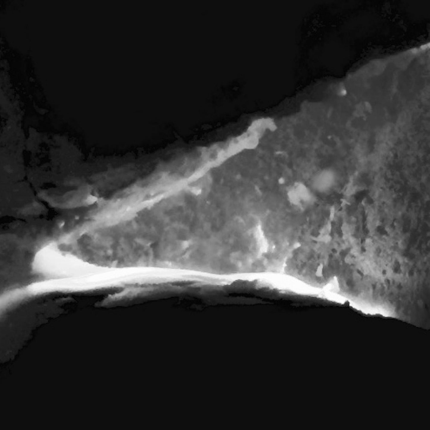 Caverna Prehistoria