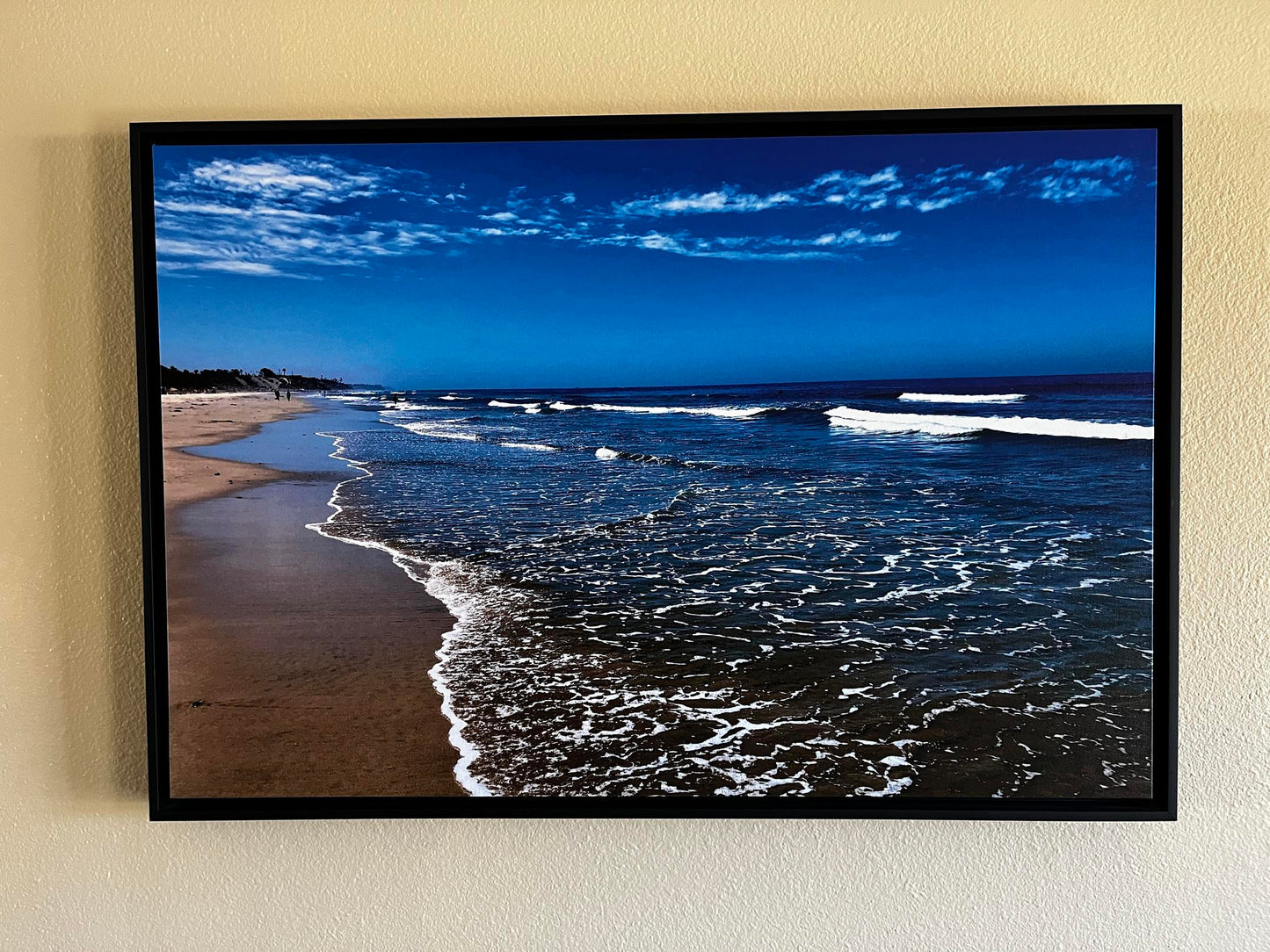The Beach at Carlsbad