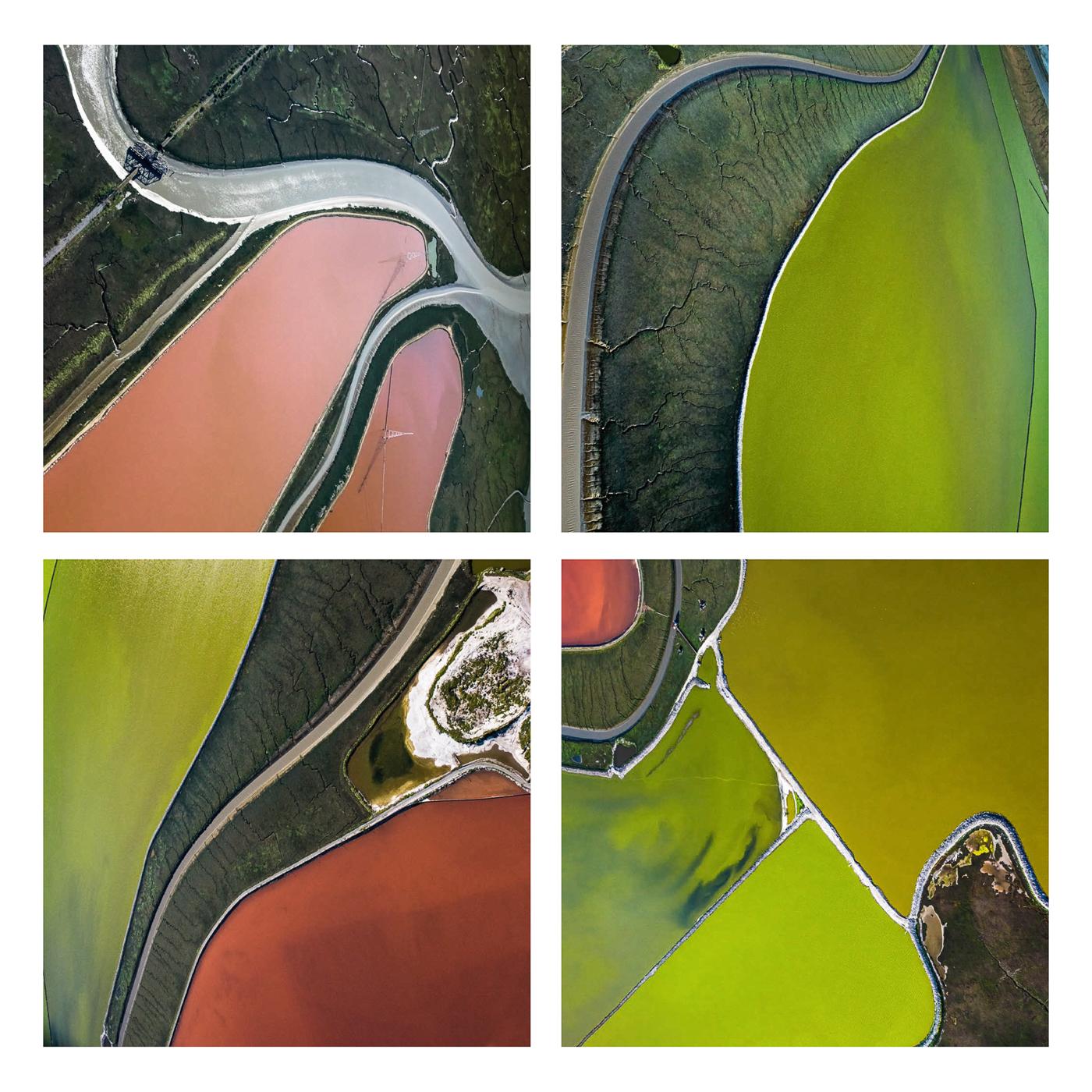 Salt Pond Grid III