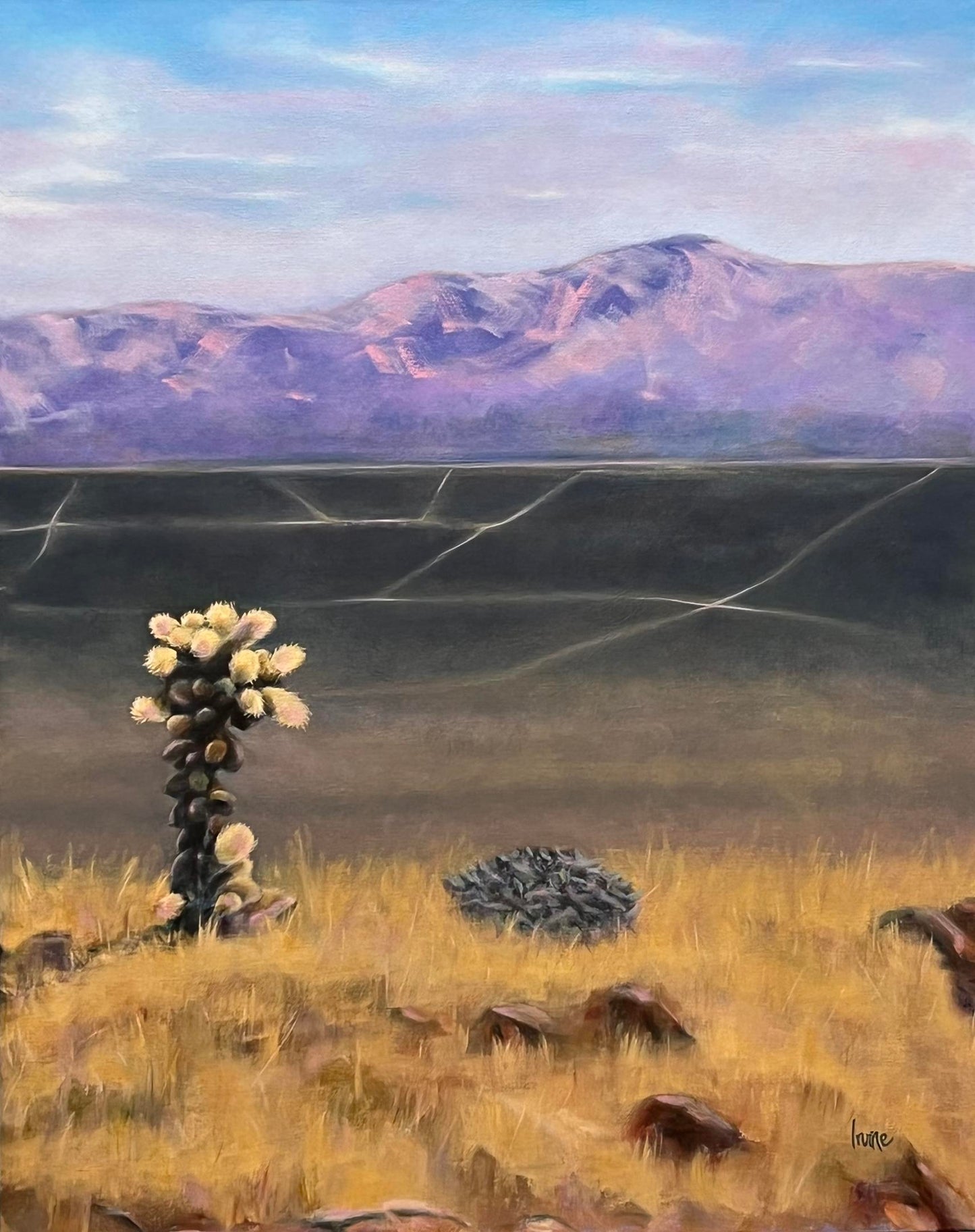 Lone Cholla