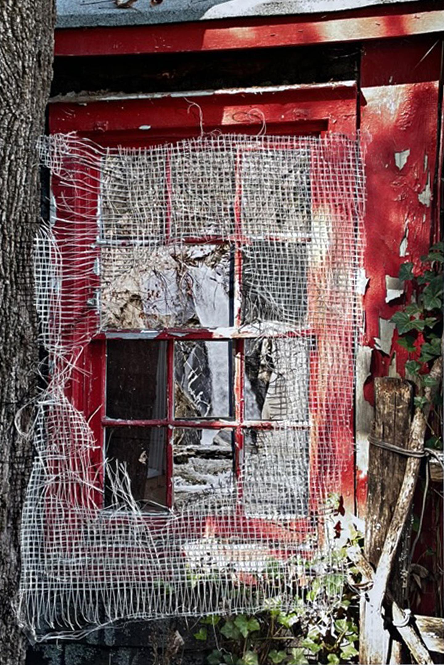 Through the Red Window