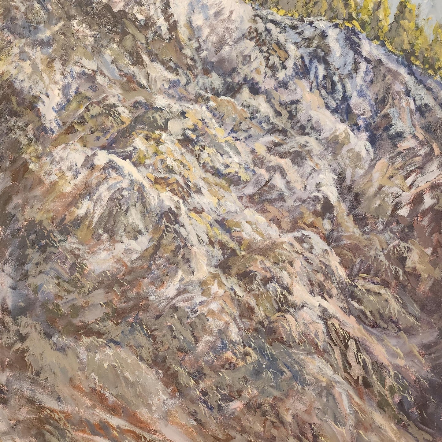 Rocky Mountainside near Big Bear