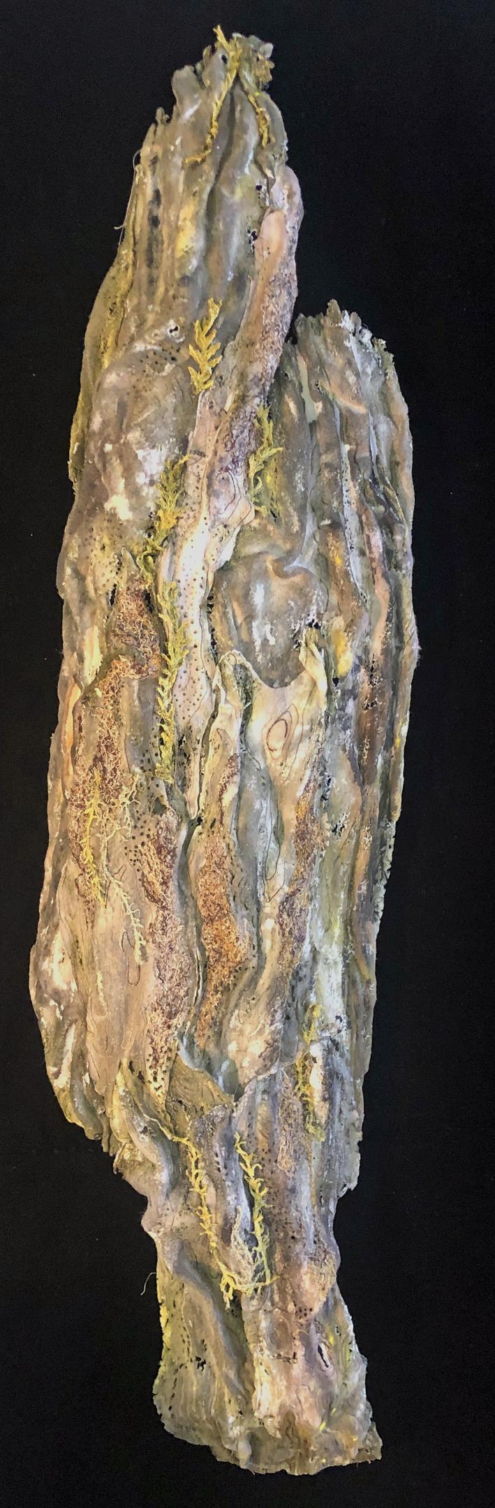 Tree Bark Fragment, var. 1