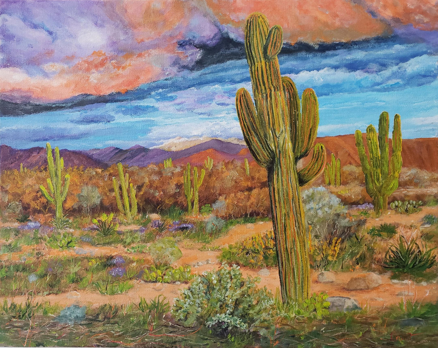 Sonoran Desert