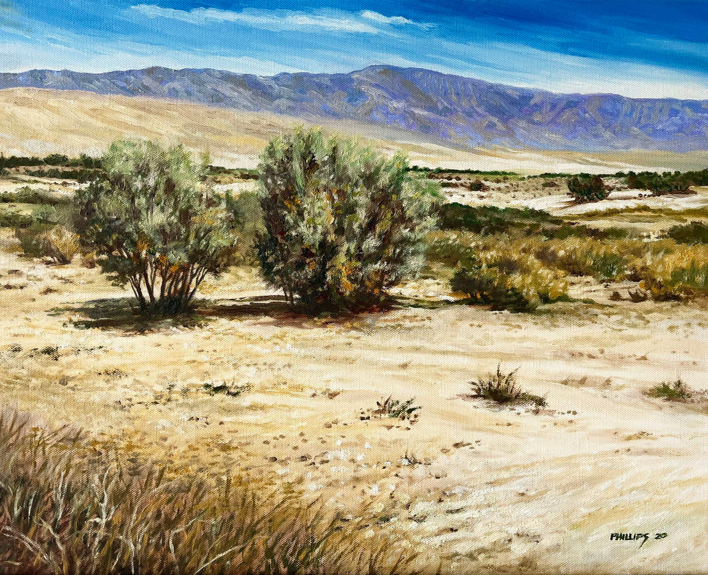 Desert Memory