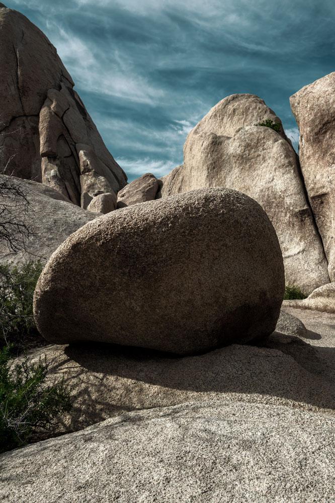 Joshua Tree