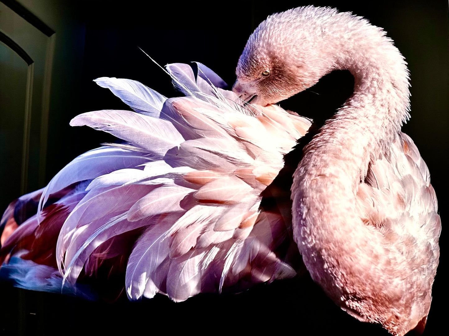 At rest