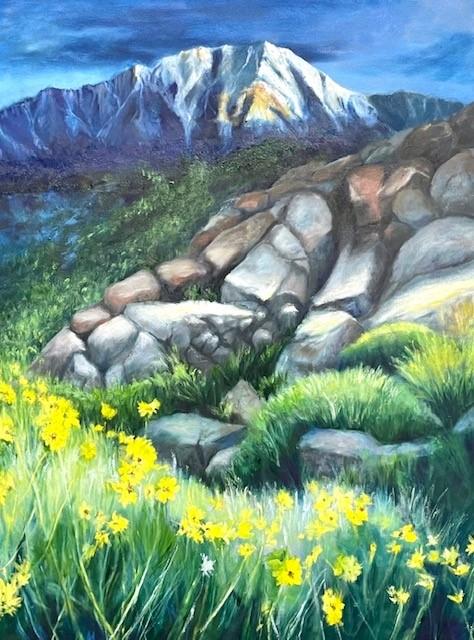Desert Meadow