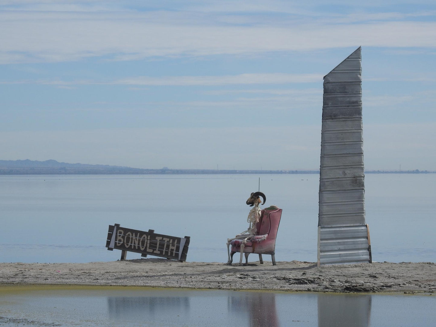 Swan Song of the Salton Sea