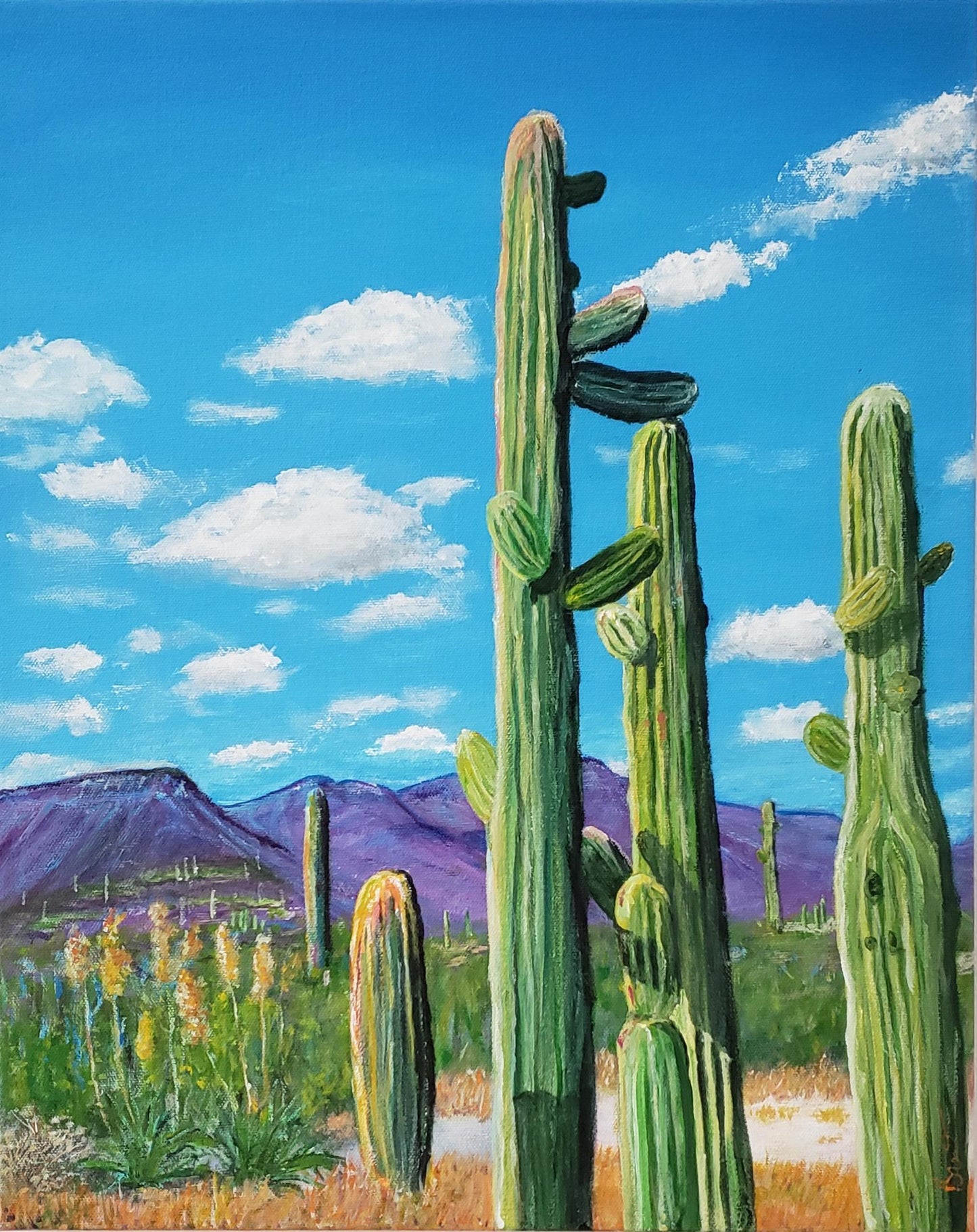 Desert Giants