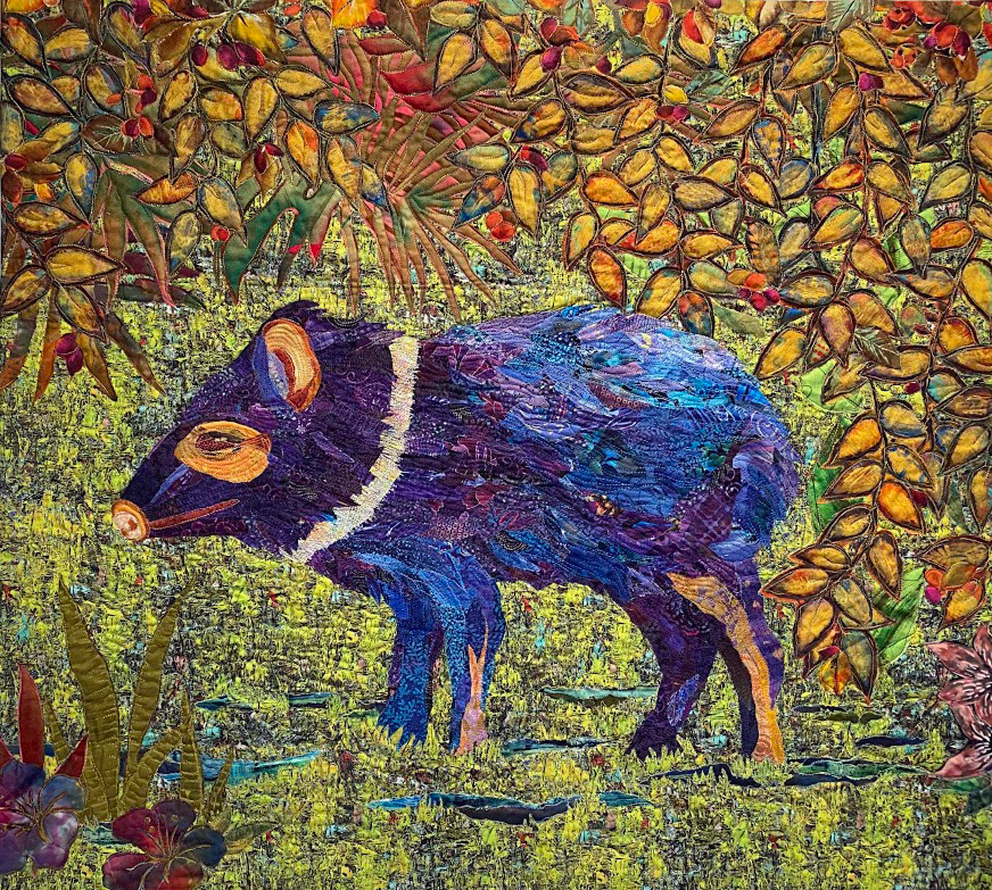 Costa Rica I Collared Peccary